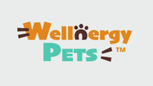 Load and play video in Gallery viewer, WELLNERGY PETS DENTAL CARE COMBO PACK