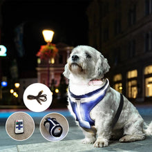 Load image into Gallery viewer, DC&#39;S REMOTE CONTROL LED PET HARNESS
